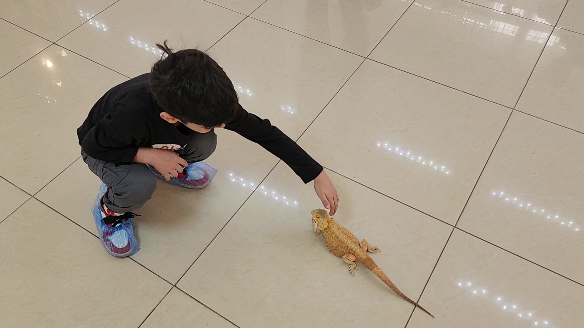 Реутов, музей, выставка, пауки, змеи,