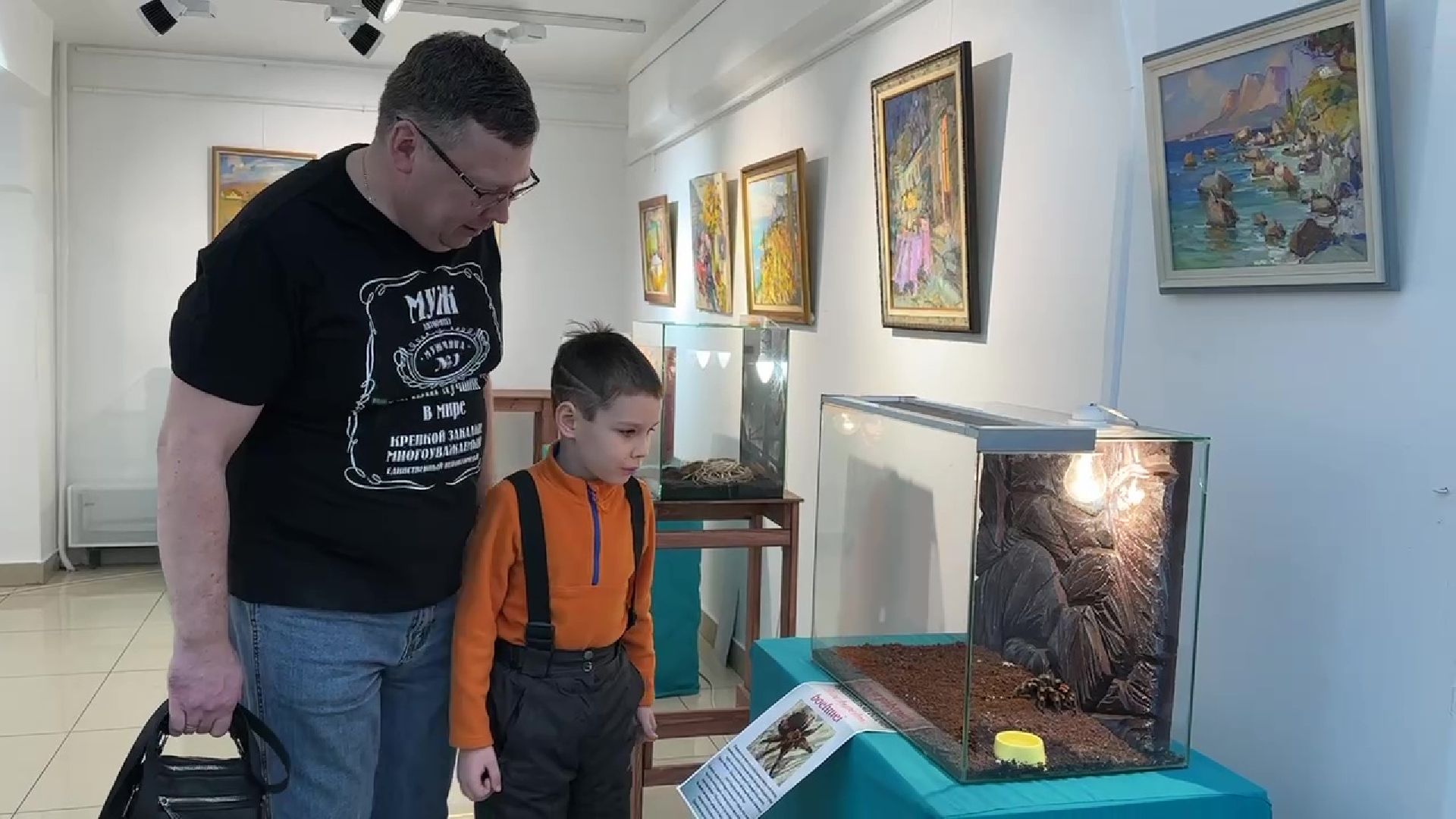 Реутов, музей, выставка, пауки, змеи,