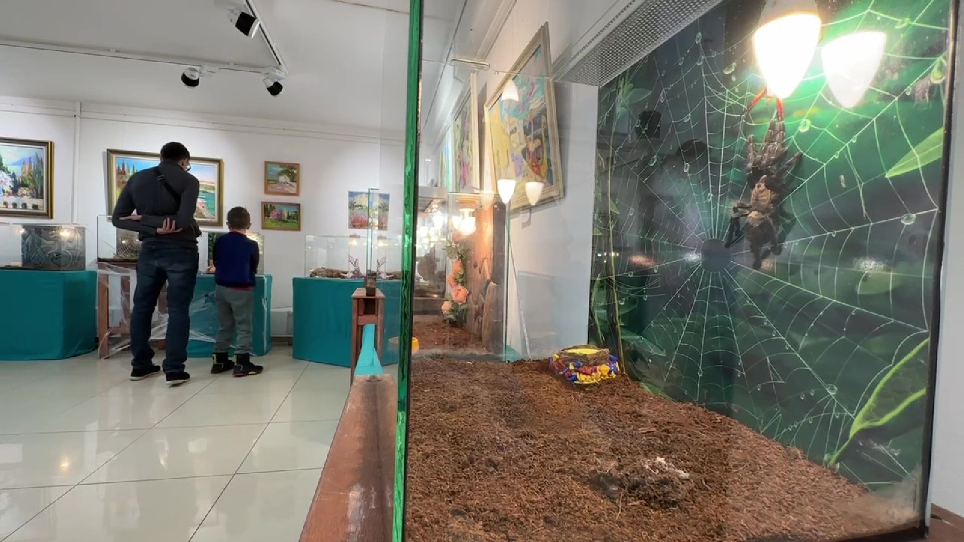 Реутов, музей, выставка, пауки, змеи,