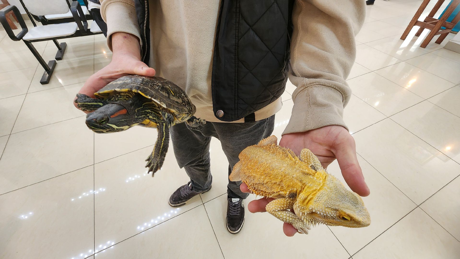 Реутов, музей, выставка, пауки, змеи,