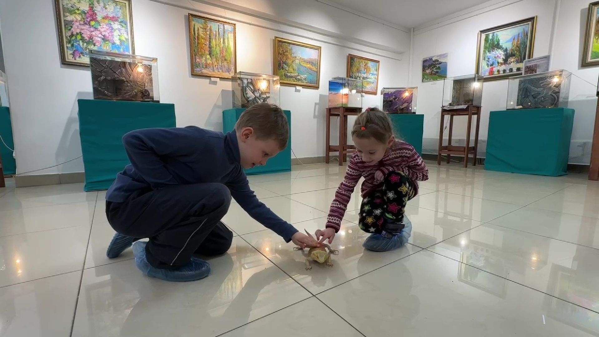 Реутов, музей, выставка, пауки, змеи,