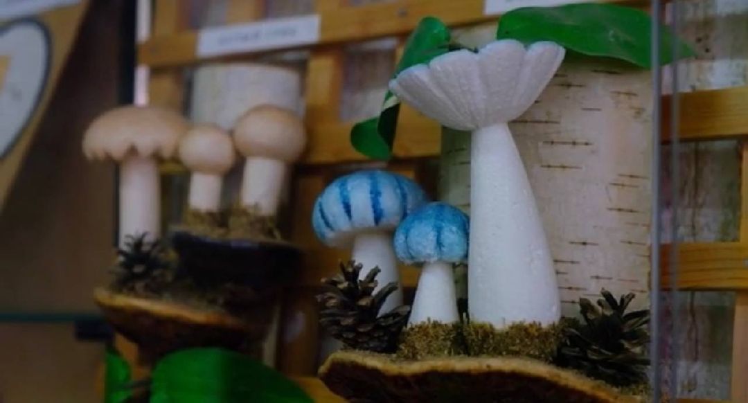 экоурок, школа, акция