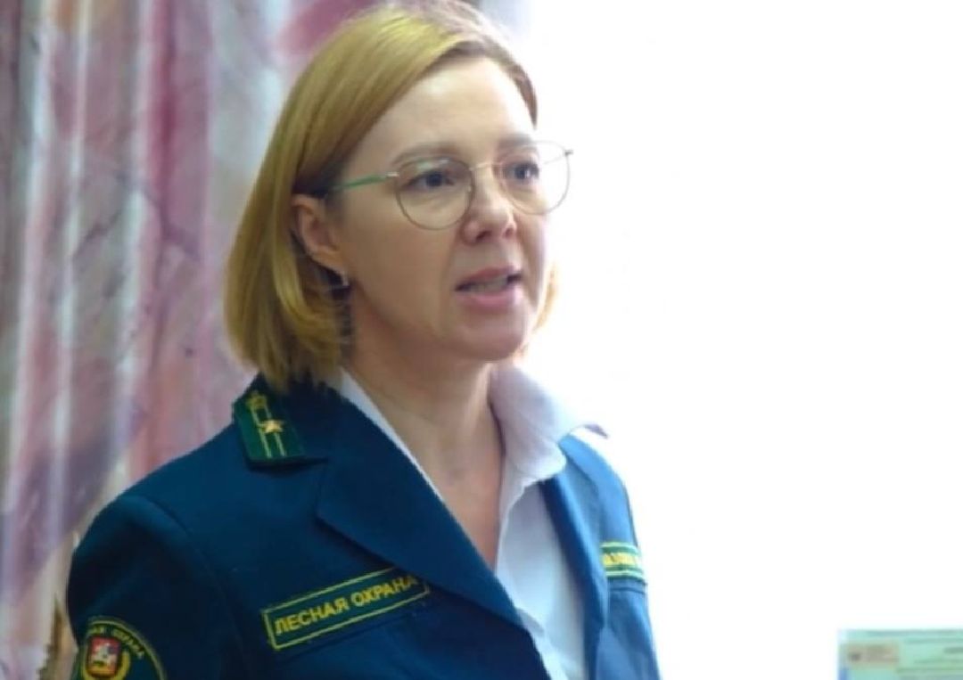 экоурок, школа, акция