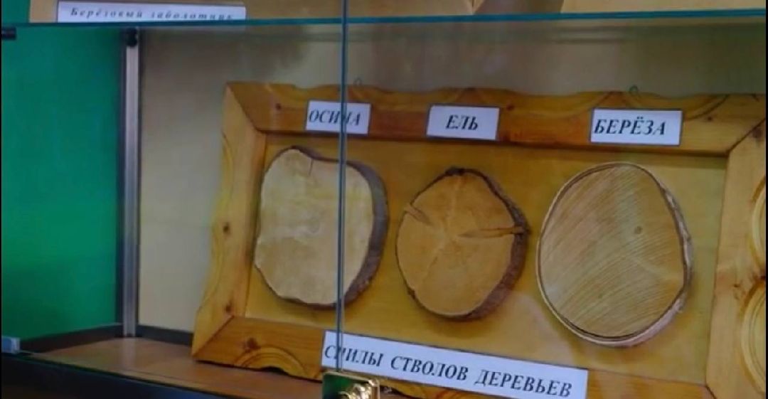 экоурок, школа, акция