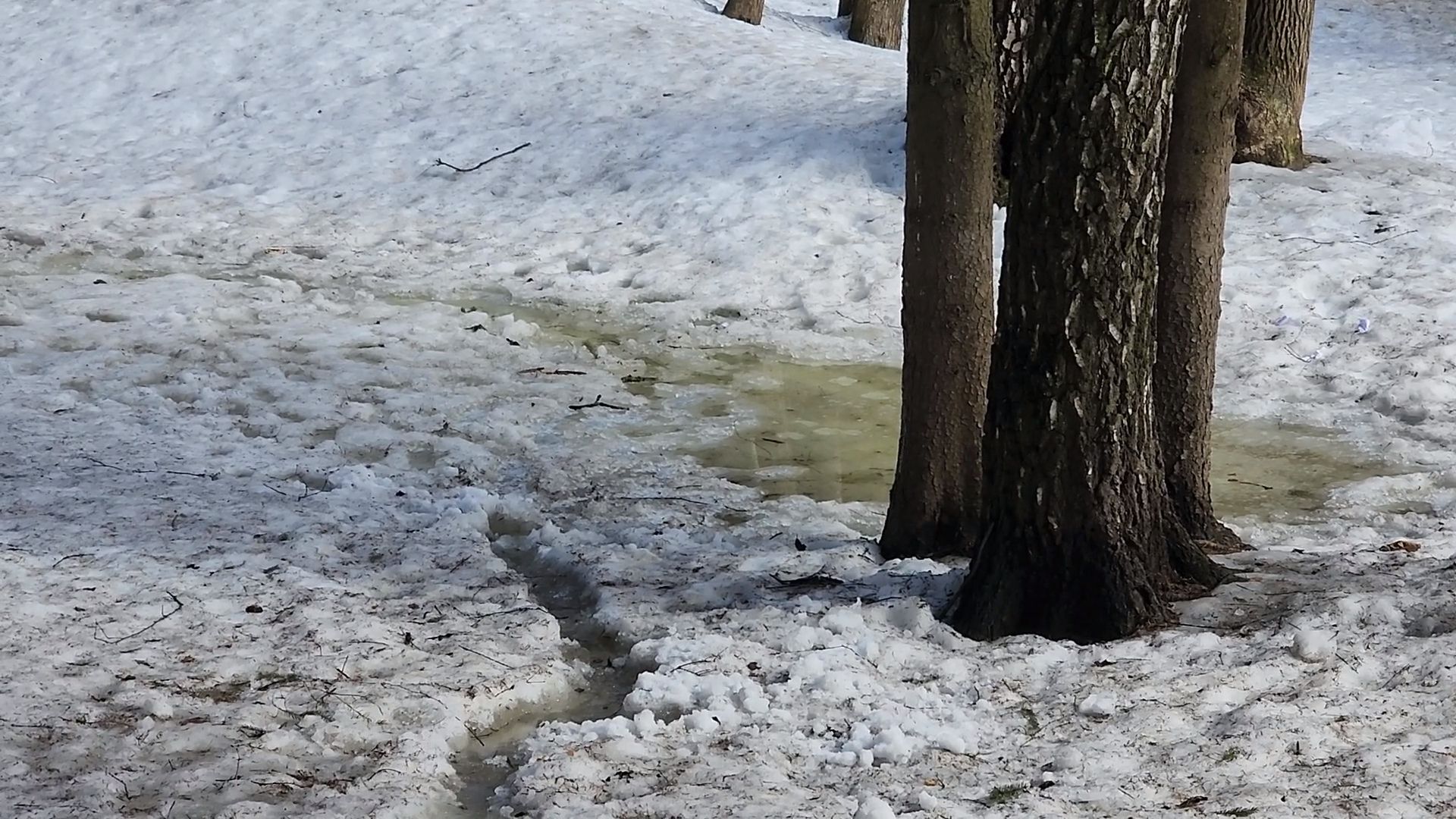 одинцово, трхгорка, паводок,