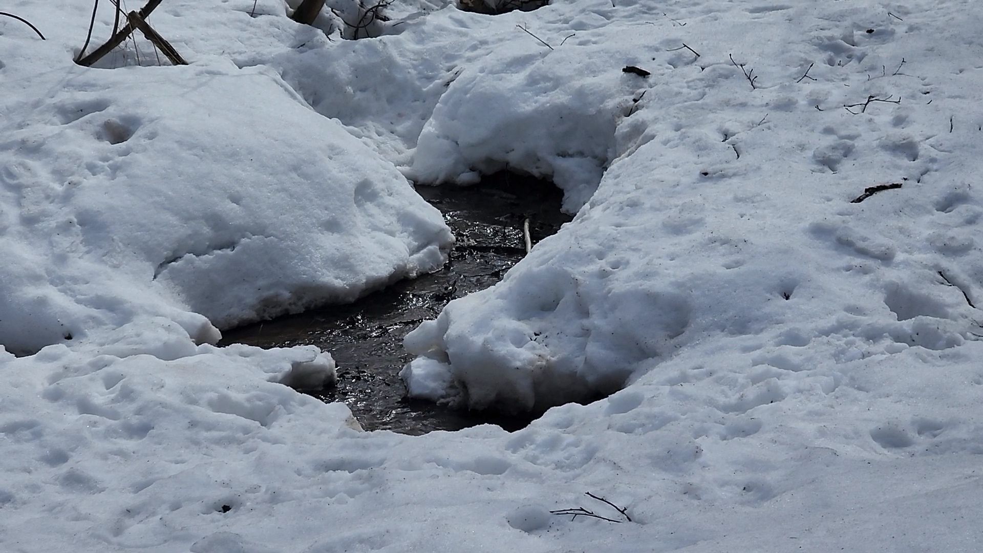 одинцово, трхгорка, паводок,
