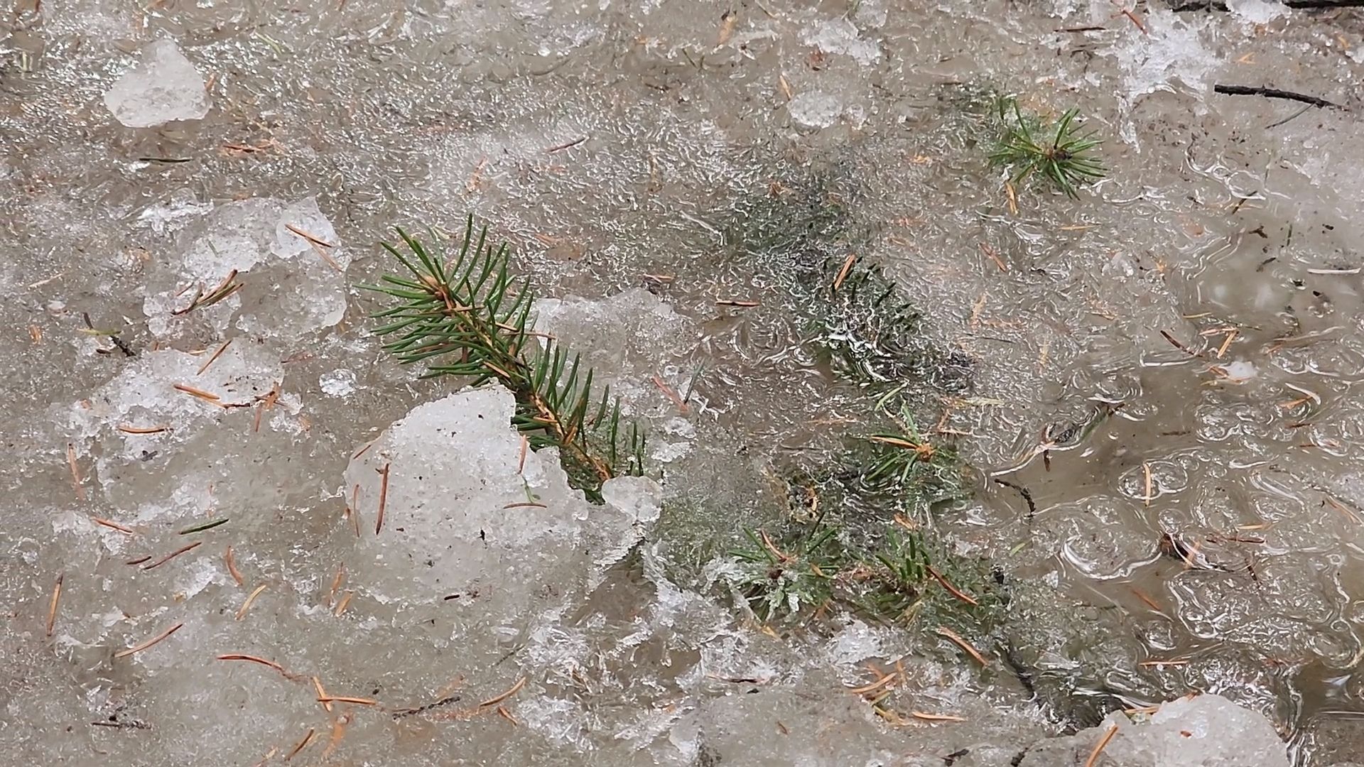 одинцово, трхгорка, паводок,