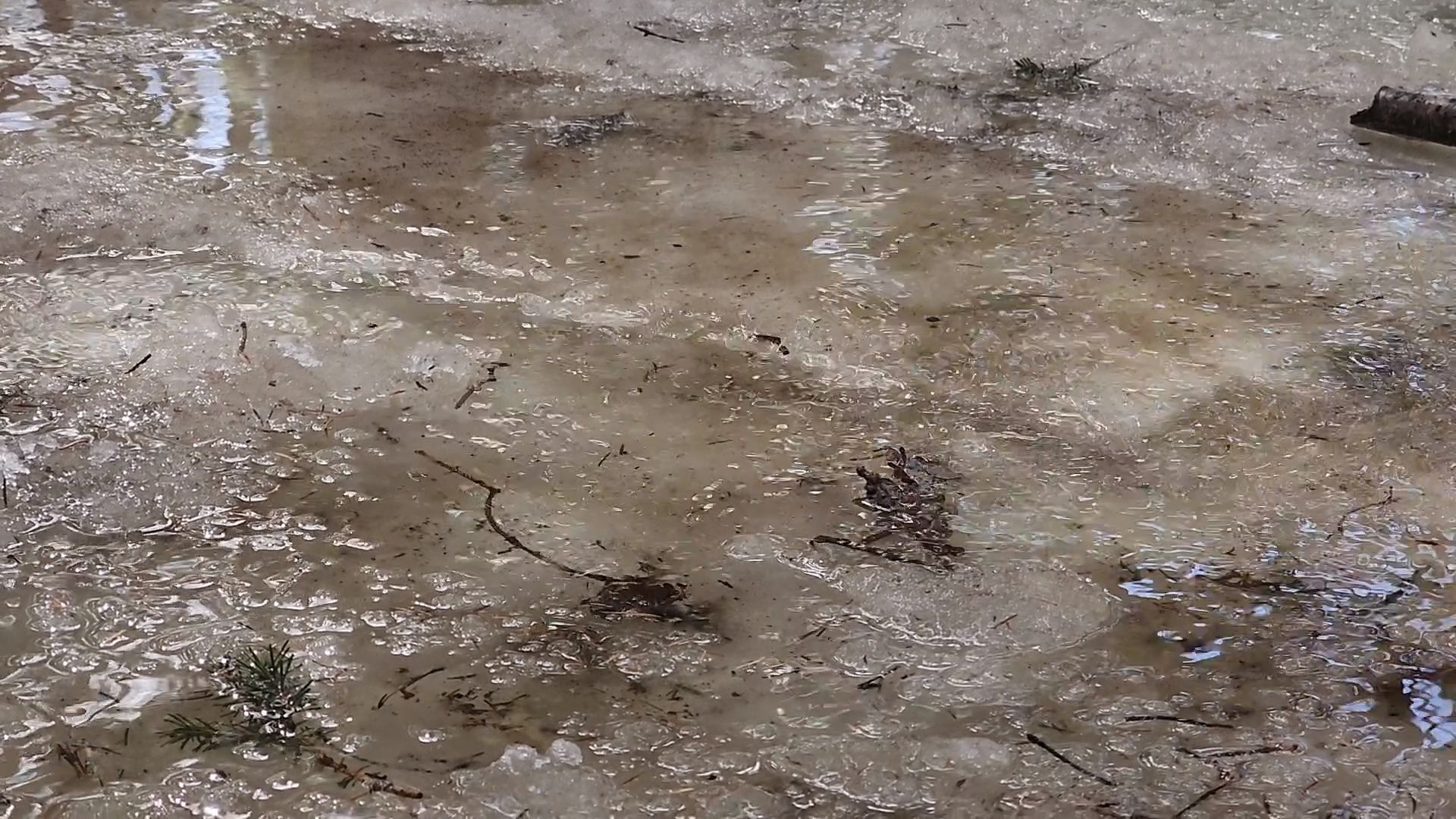 одинцово, трхгорка, паводок,