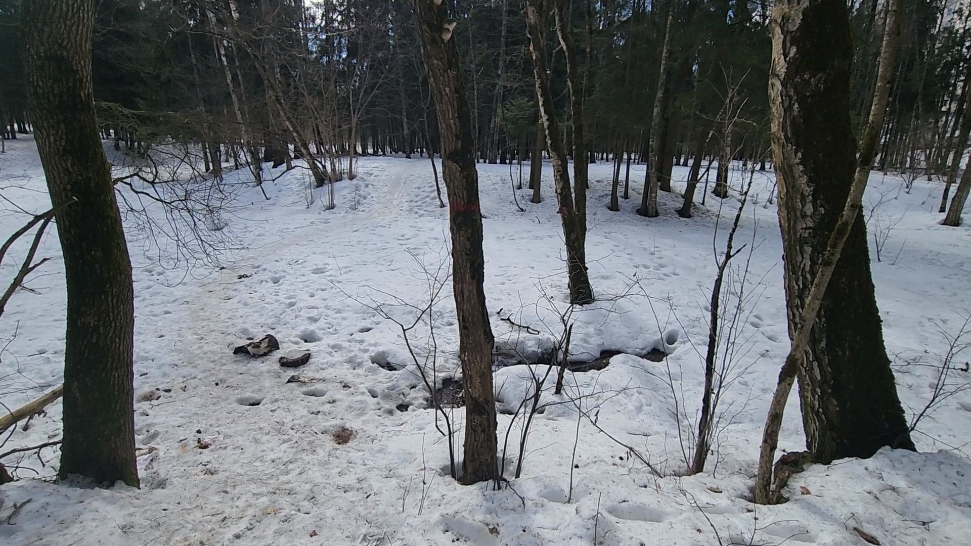 одинцово, трхгорка, паводок,