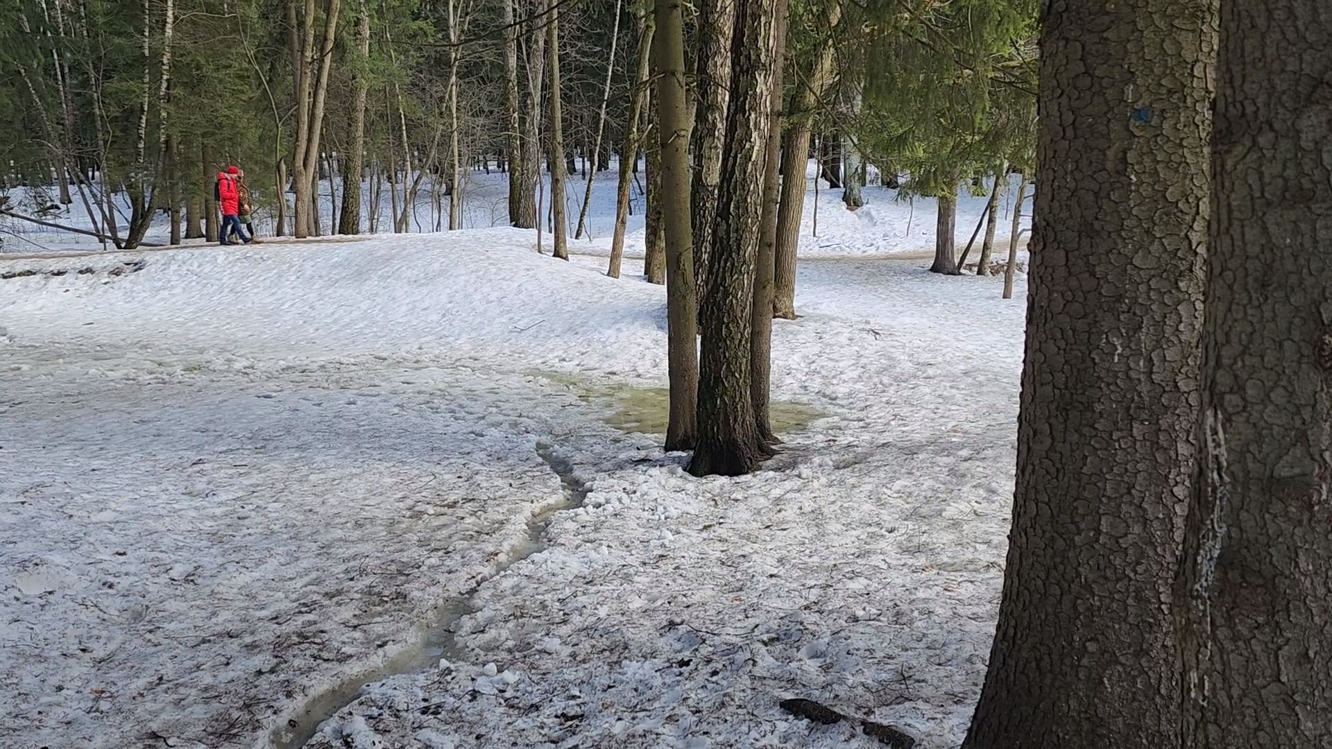 одинцово, трхгорка, паводок,