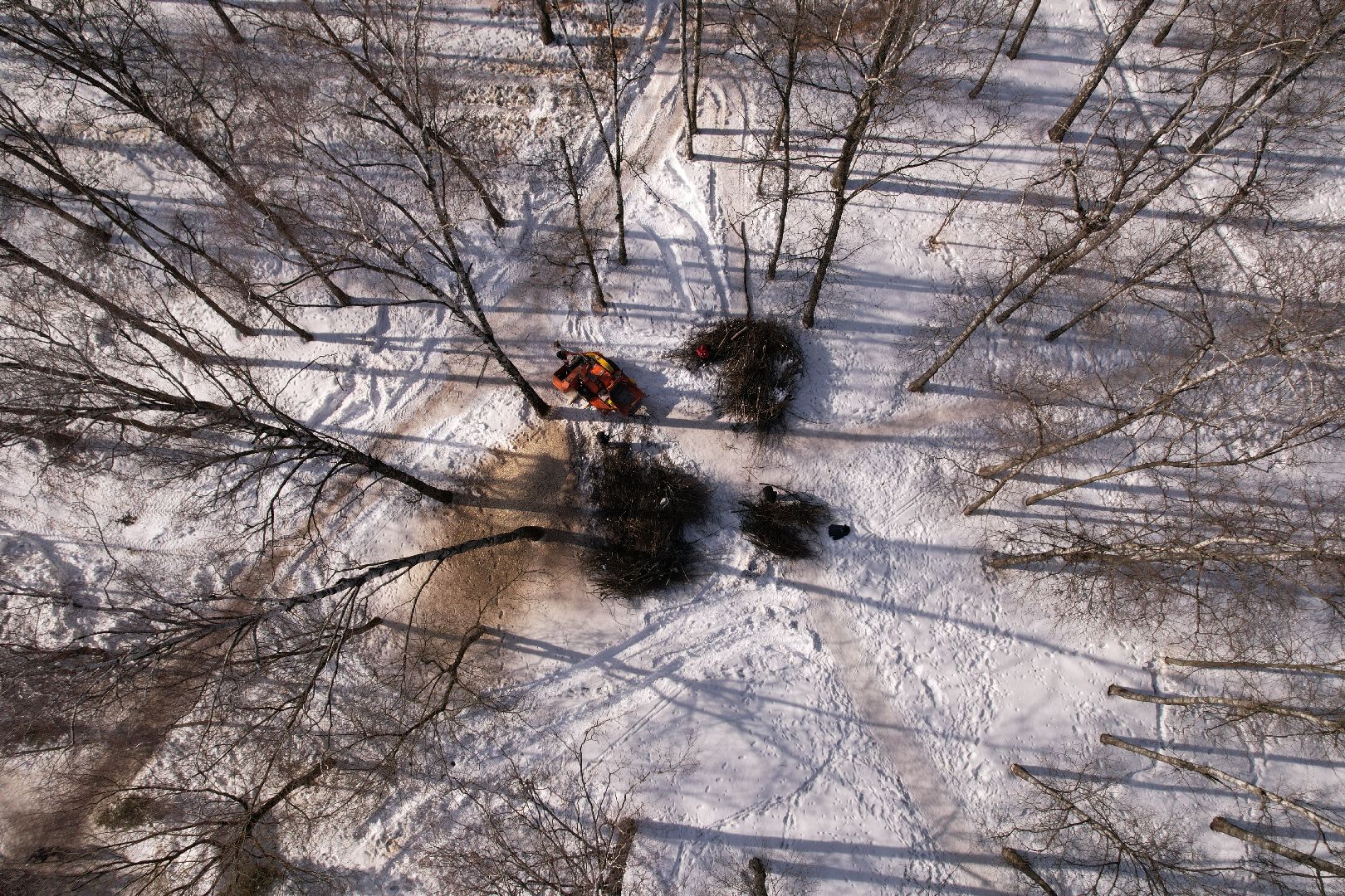 видео с коптера, лобня, парк, благоустройство,