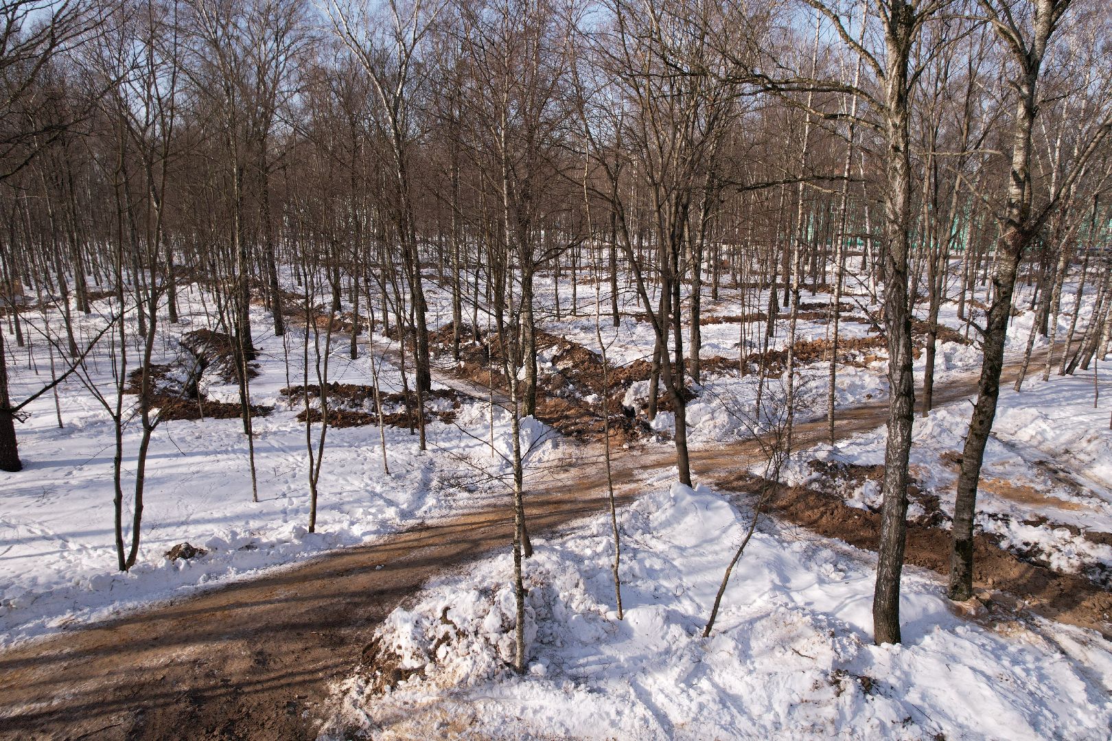 видео с коптера, лобня, парк, благоустройство,