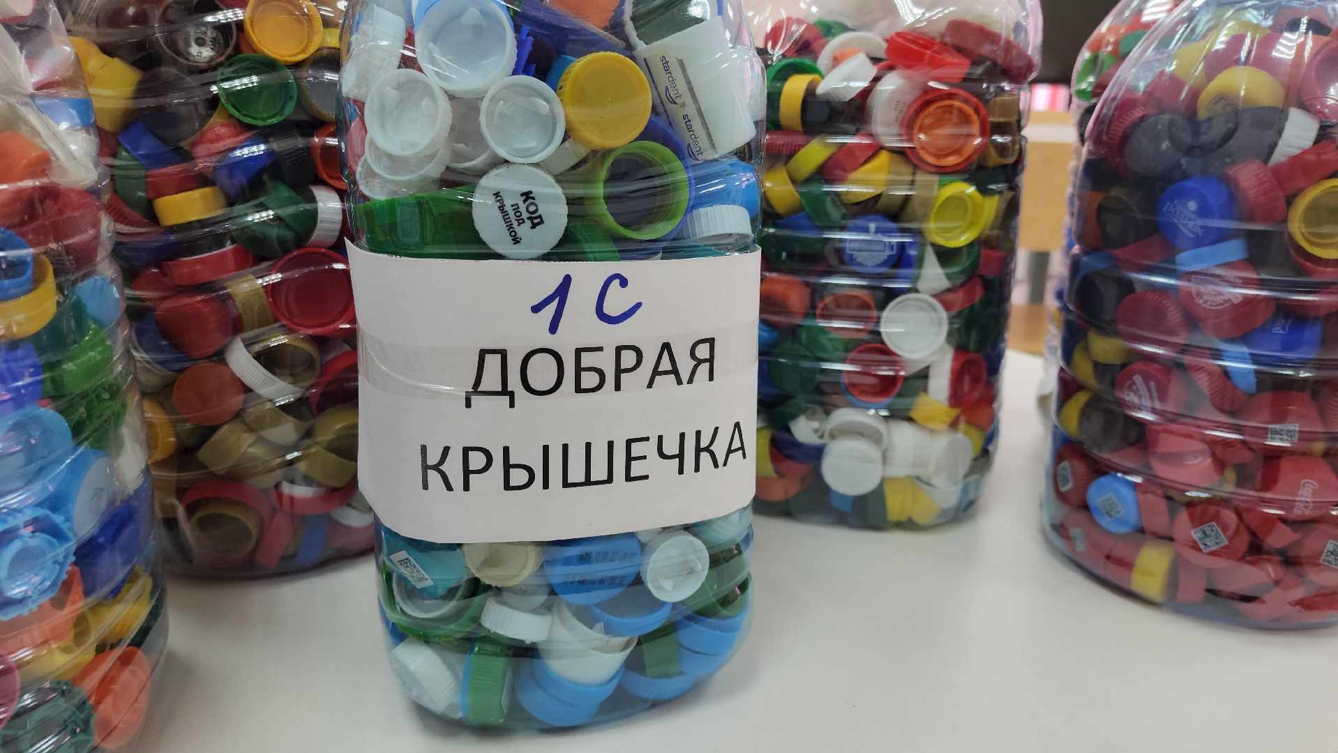 образование, образование мо, образование подмосковья, нестеровский лицей, олимпиада школьников, руза, рузский городской округ,