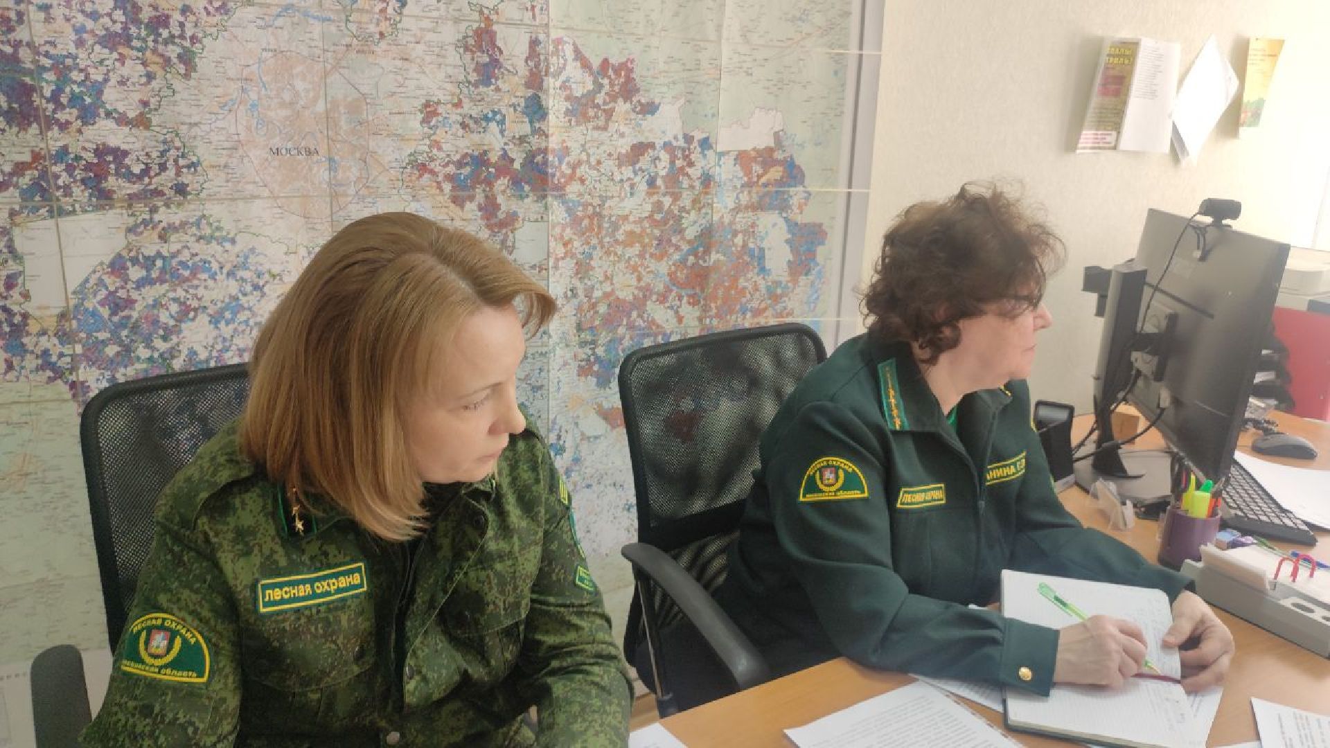 волоколамск, волоколамское лесничество, противопожарная безопасность,