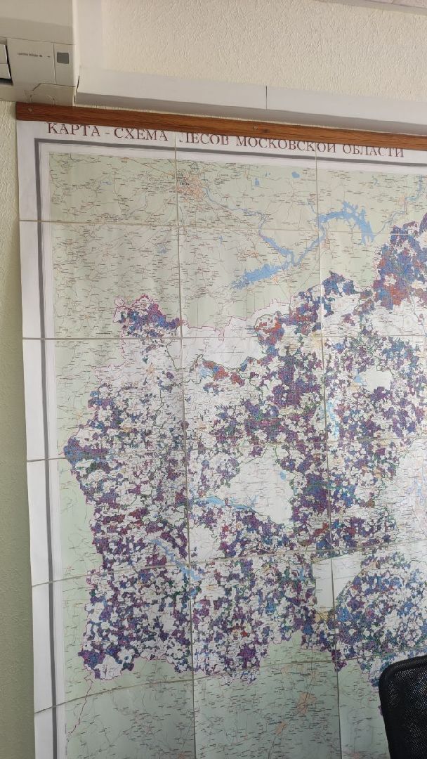 волоколамск, волоколамское лесничество, противопожарная безопасность,