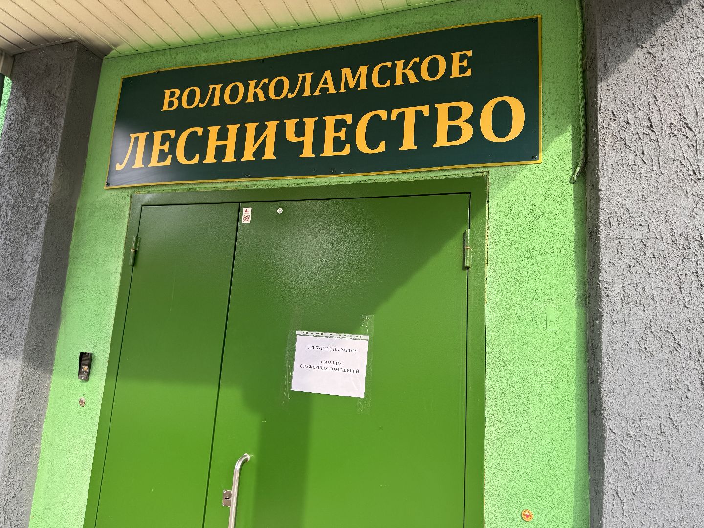 шаховская, лесничество, посадка леса,