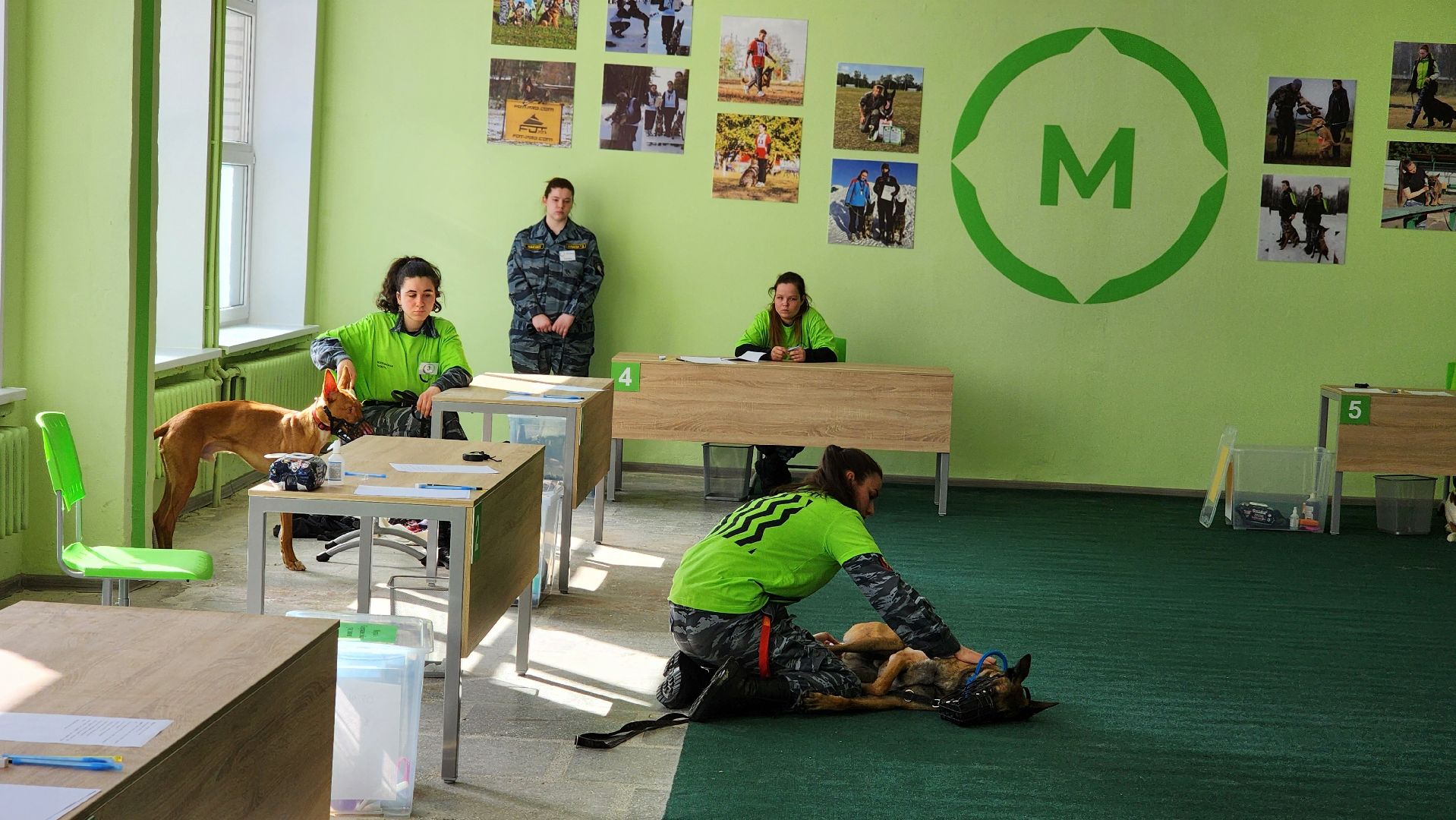 протвино, губернский колледж, кинологи, чемпионат профессионалы, образование,