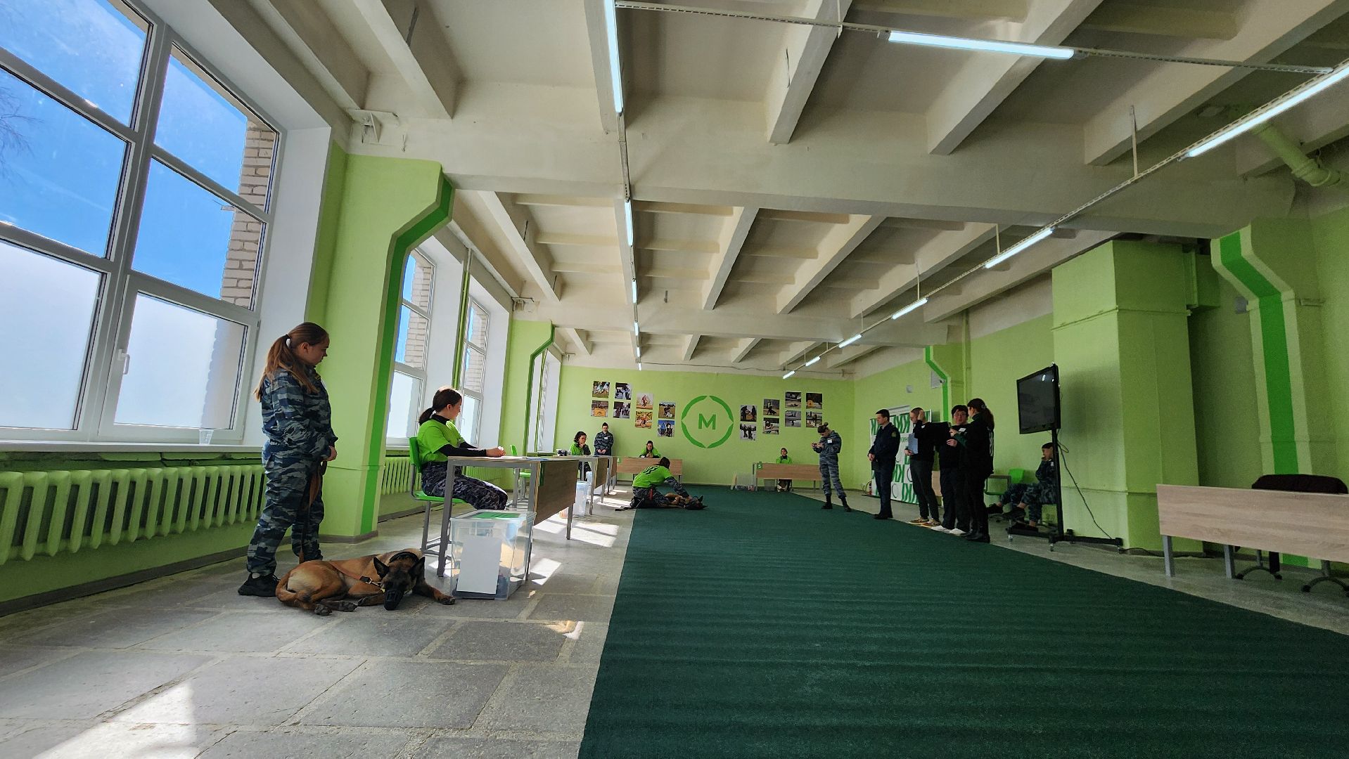 протвино, губернский колледж, кинологи, чемпионат профессионалы, образование,