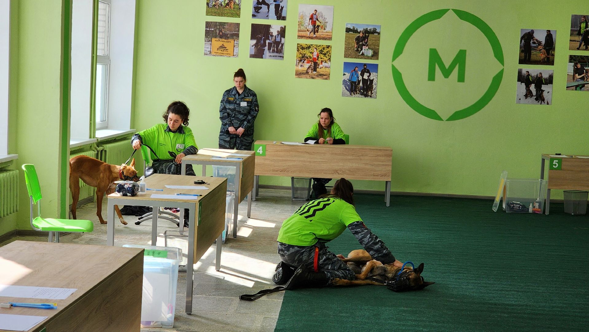 протвино, губернский колледж, кинологи, чемпионат профессионалы, образование,