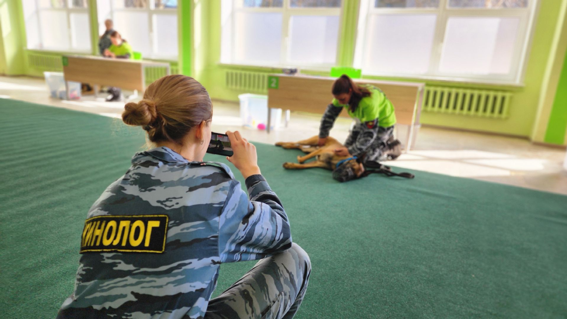 протвино, губернский колледж, кинологи, чемпионат профессионалы, образование,