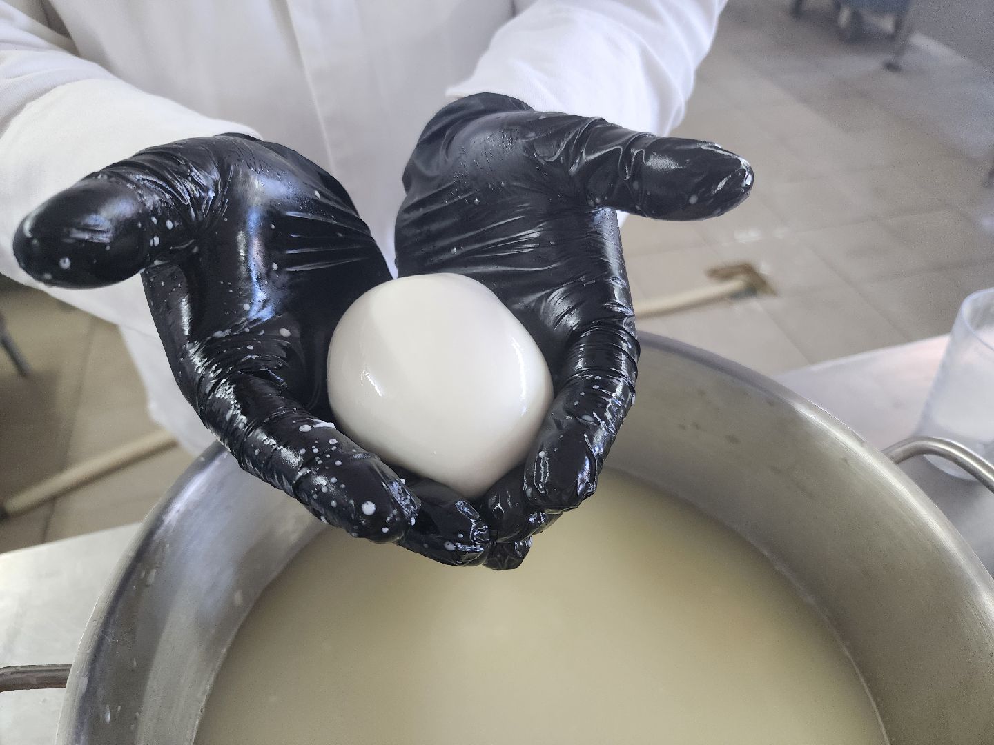 Семейная ферма, сыроварня, орехово-зуевский округ,