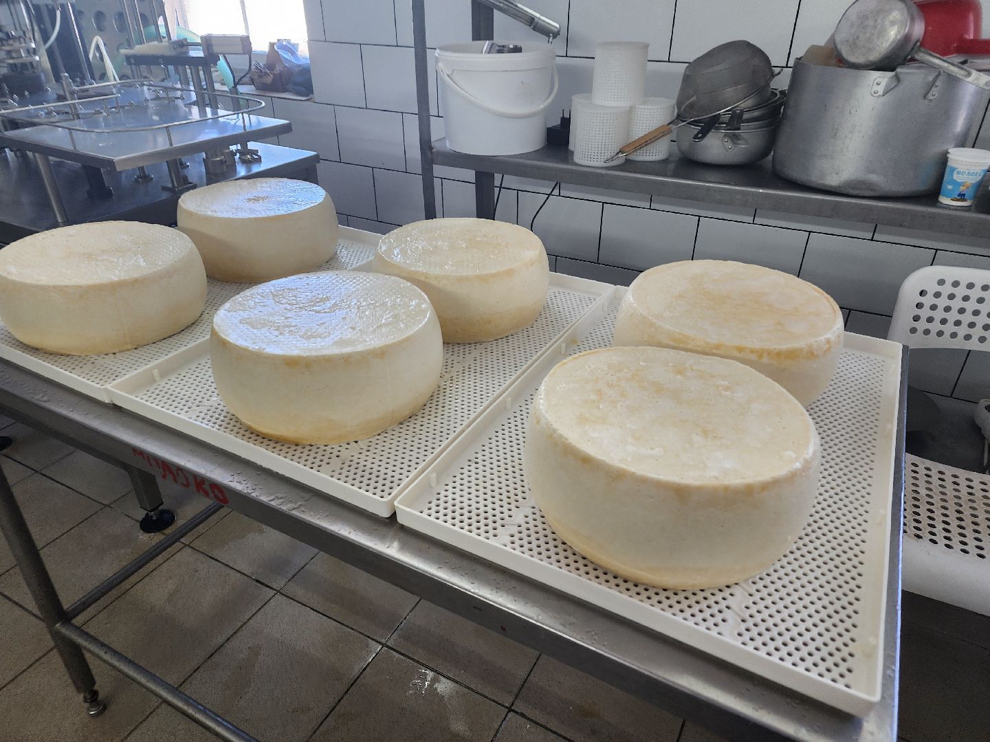 Семейная ферма, сыроварня, орехово-зуевский округ,