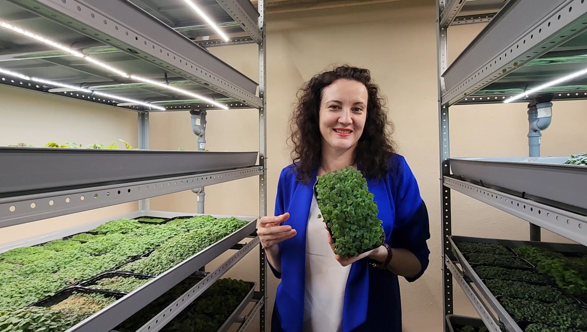 бизнес в подмосковье, предпринимательская деятельность,