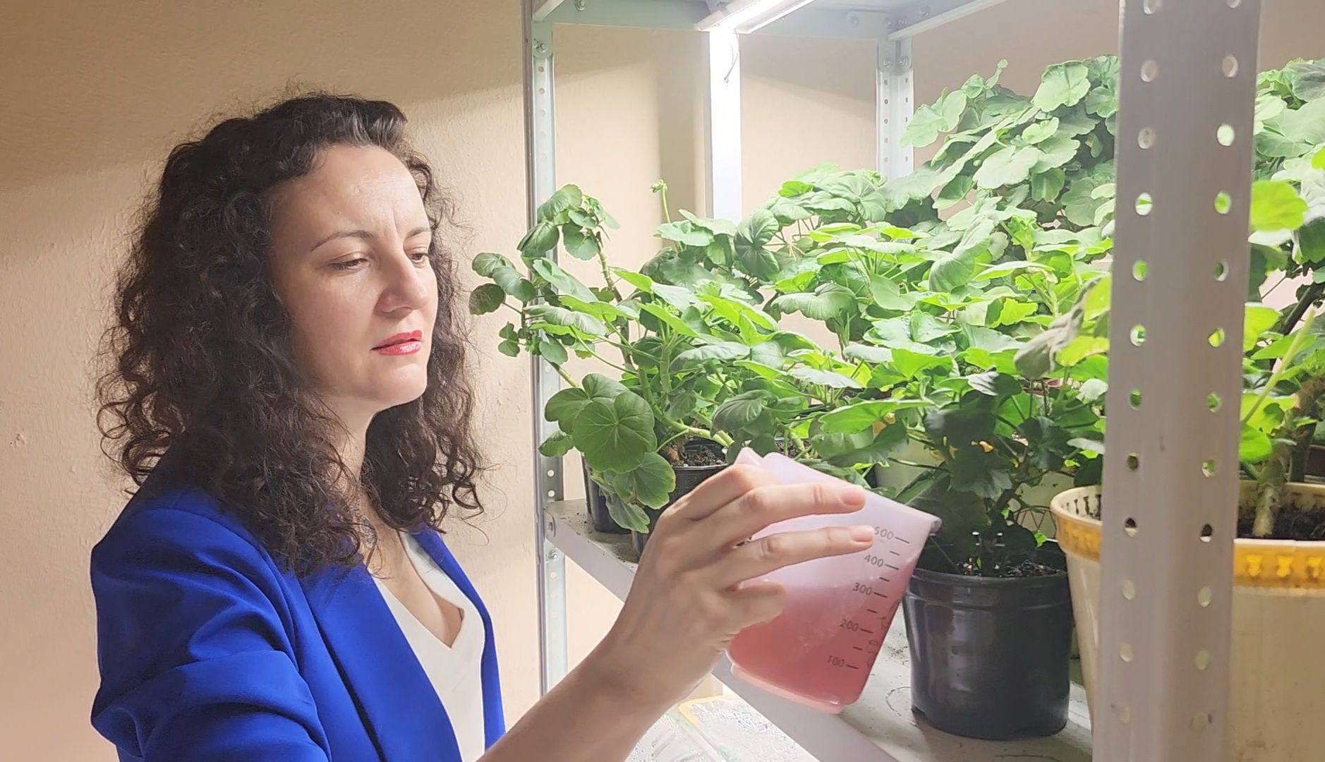 бизнес в подмосковье, предпринимательская деятельность,