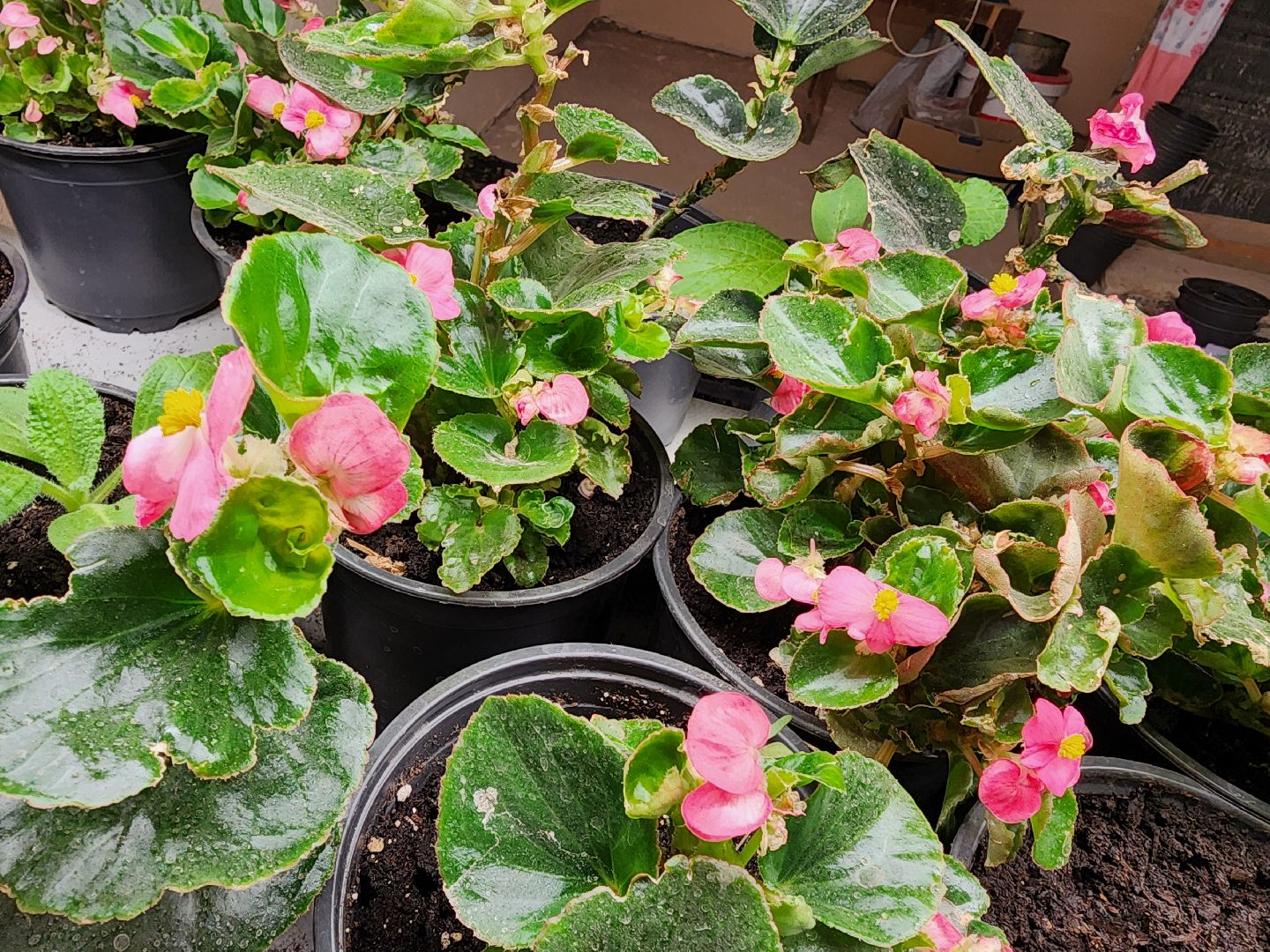 бизнес в подмосковье, предпринимательская деятельность,