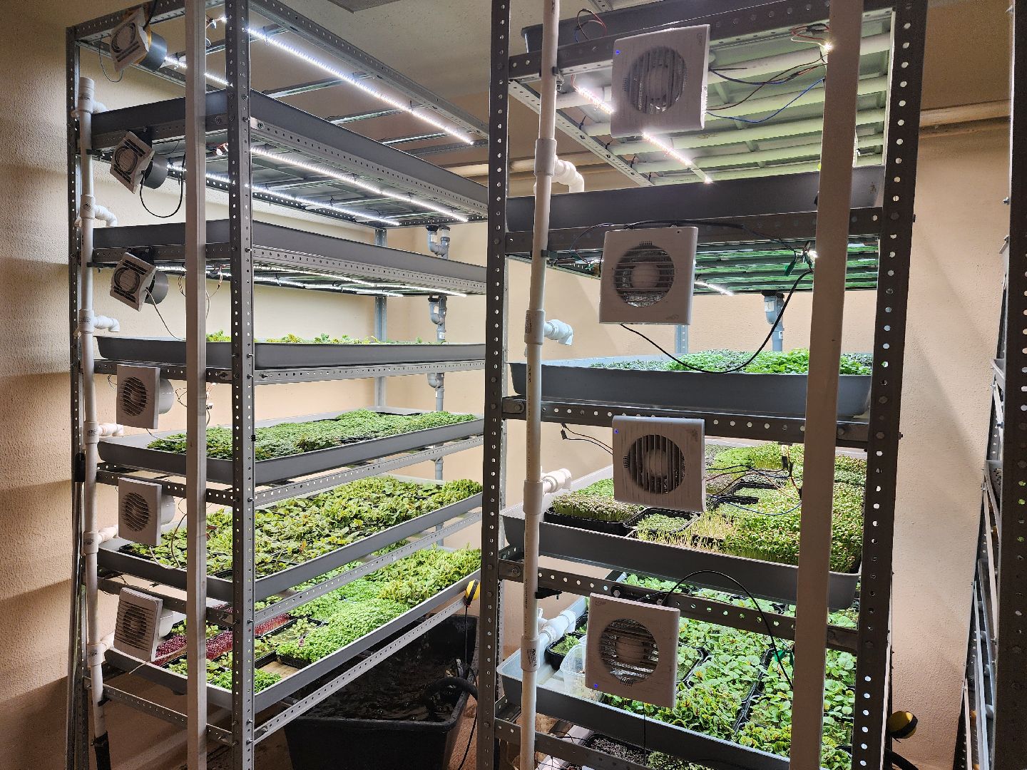 бизнес в подмосковье, предпринимательская деятельность,