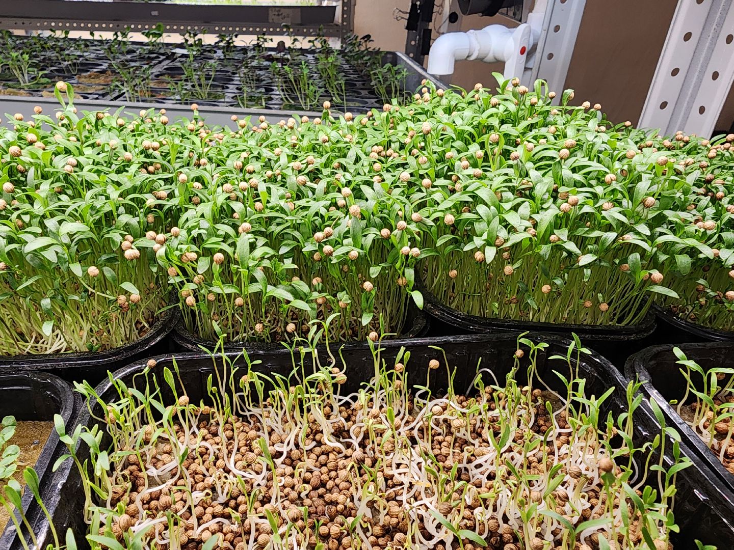 бизнес в подмосковье, предпринимательская деятельность,