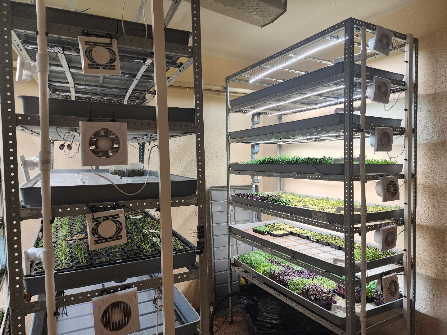 бизнес в подмосковье, предпринимательская деятельность,