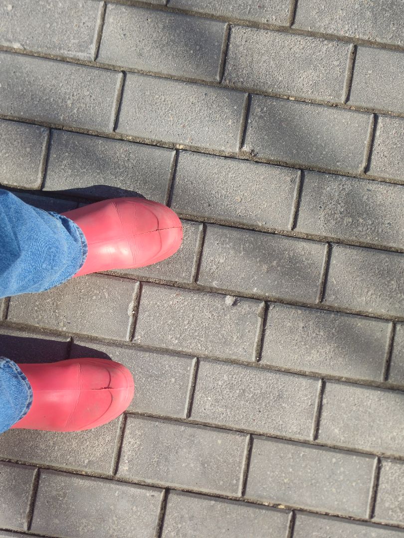 Дубна, Уборка города, Благоустройство, жкх,