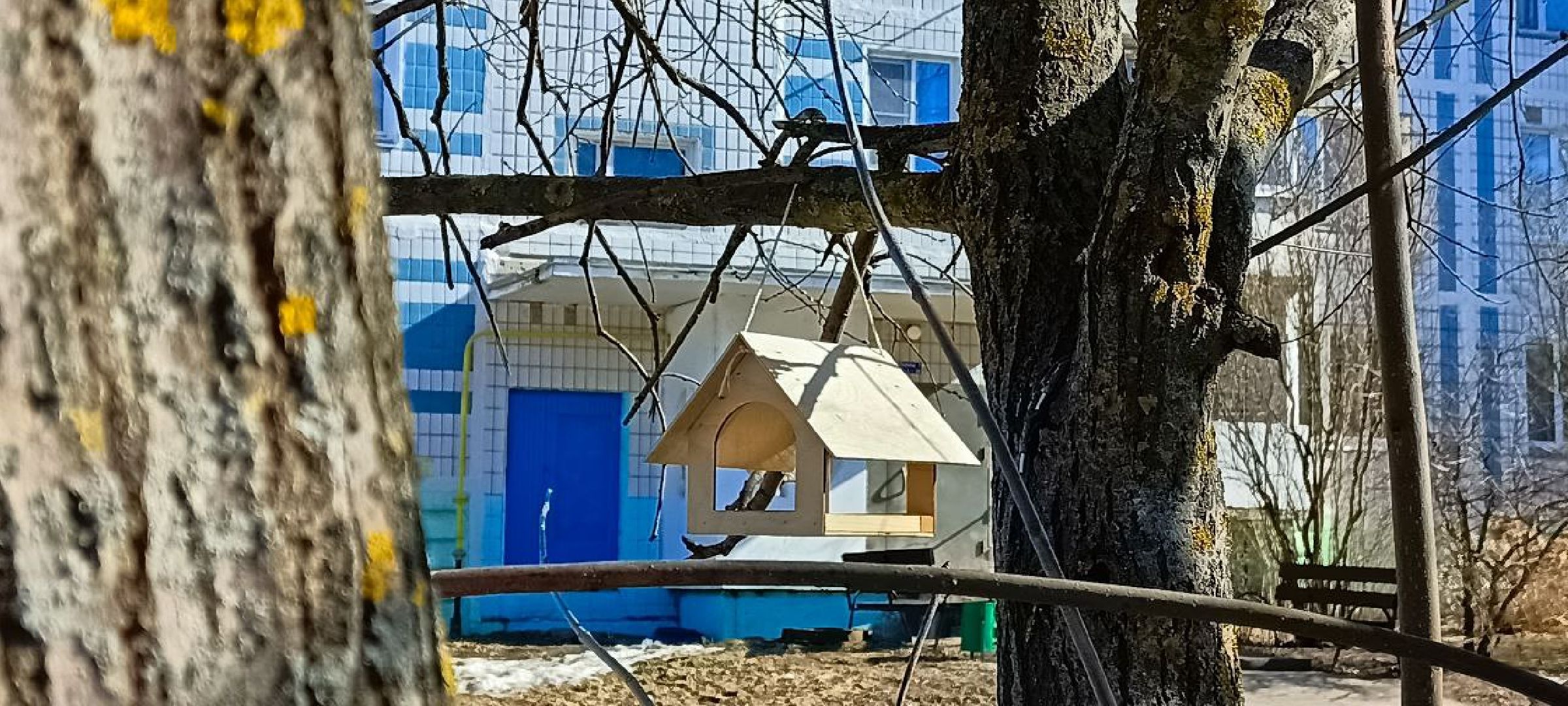 Дмитров, Рогачево, Фонд капремонта, Мин ЖКХ,