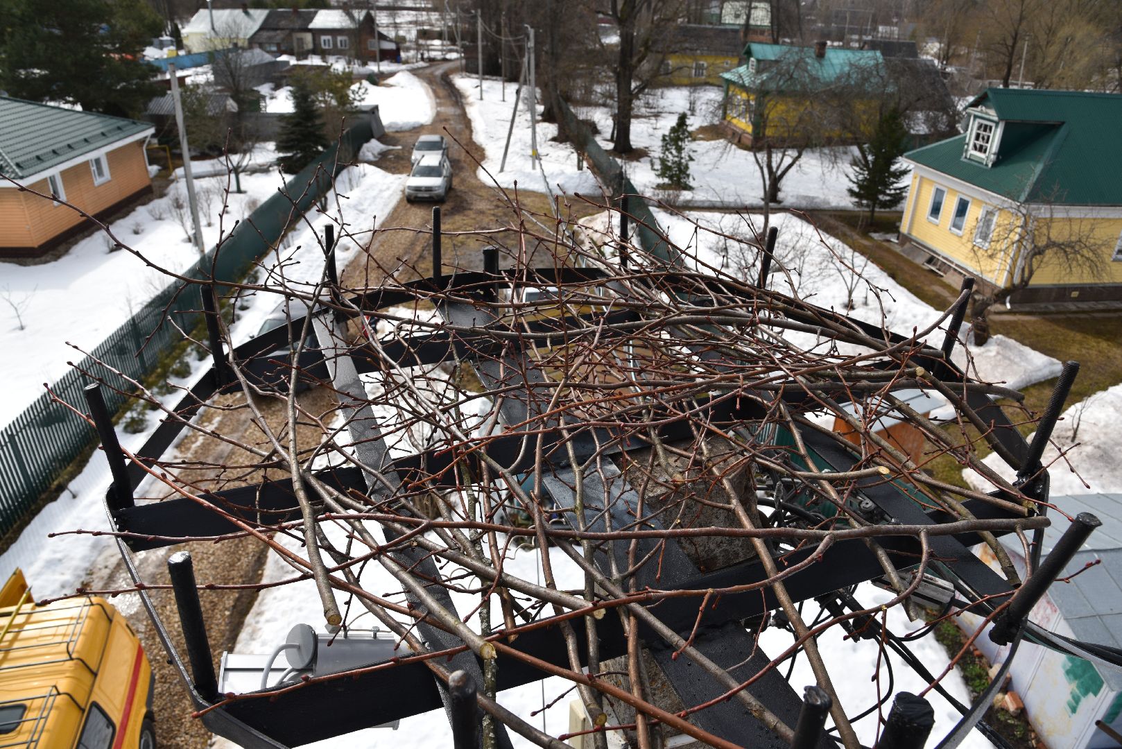 лотошино, россети московский регион», аисты, экология,