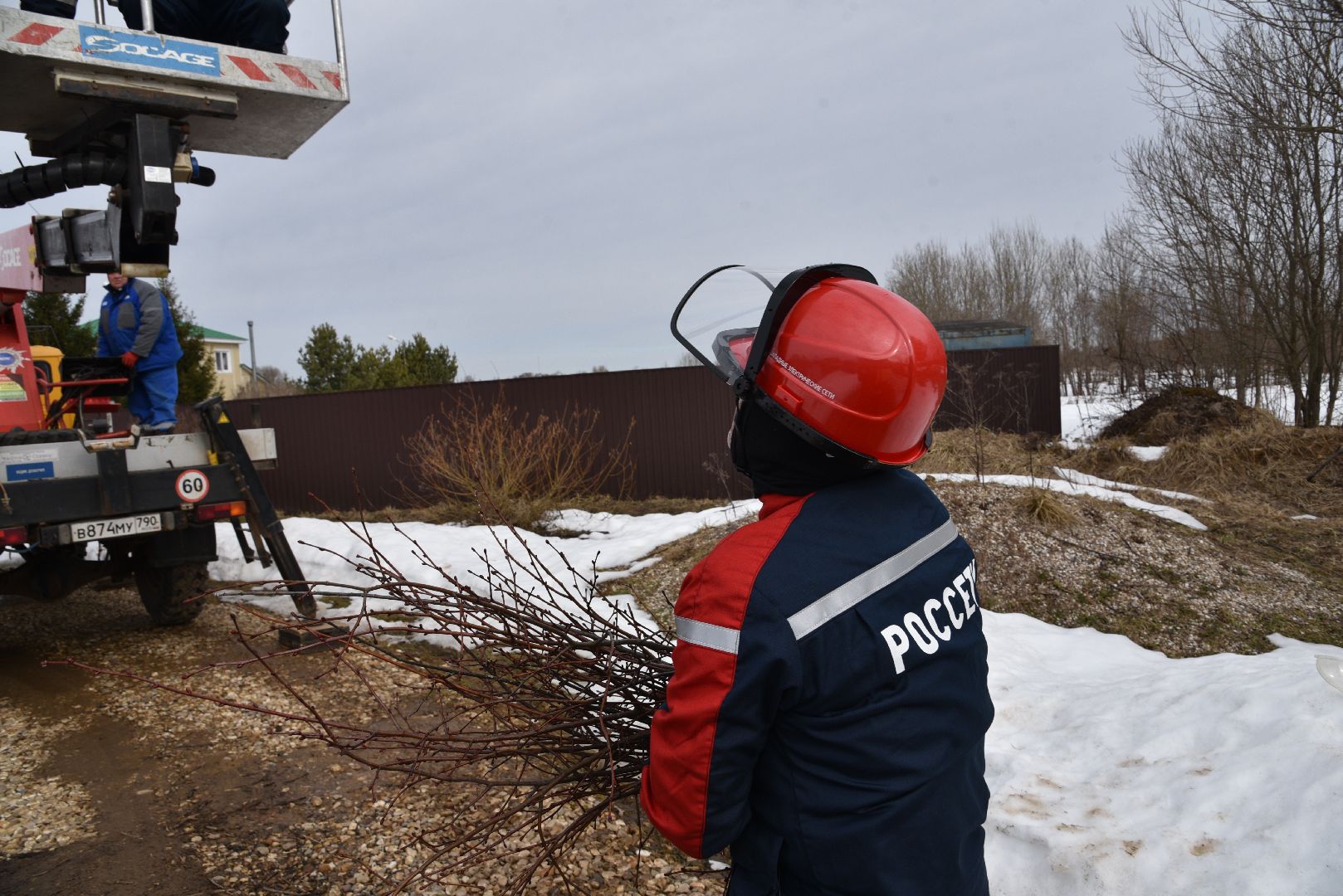 лотошино, россети московский регион», аисты, экология,