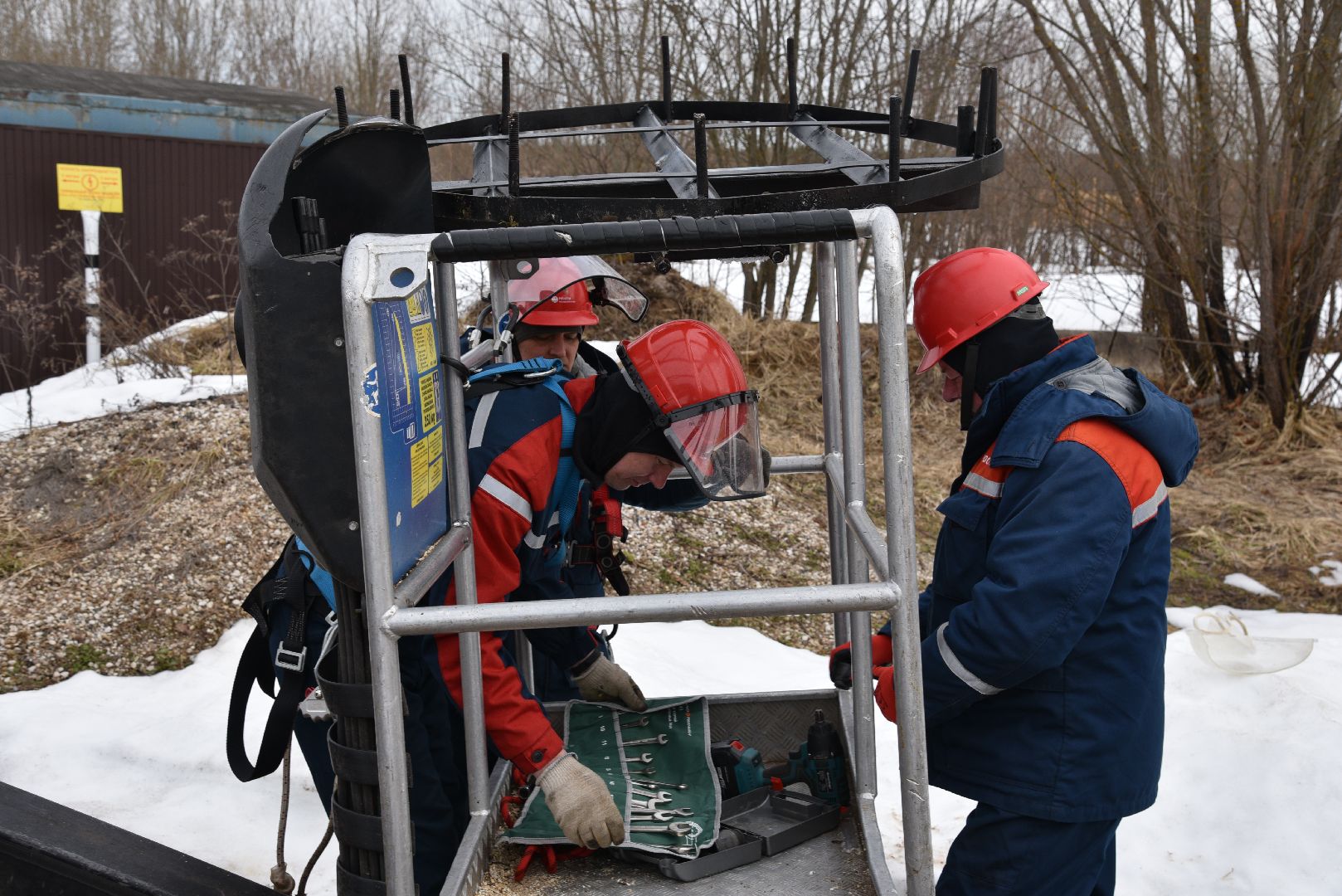 лотошино, россети московский регион», аисты, экология,