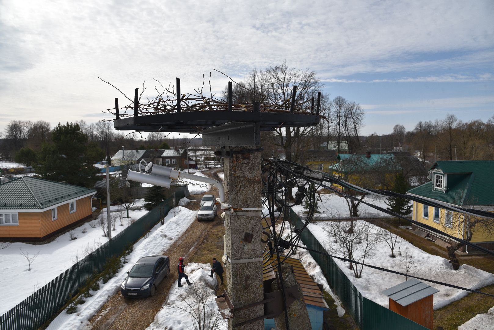 лотошино, россети московский регион», аисты, экология,