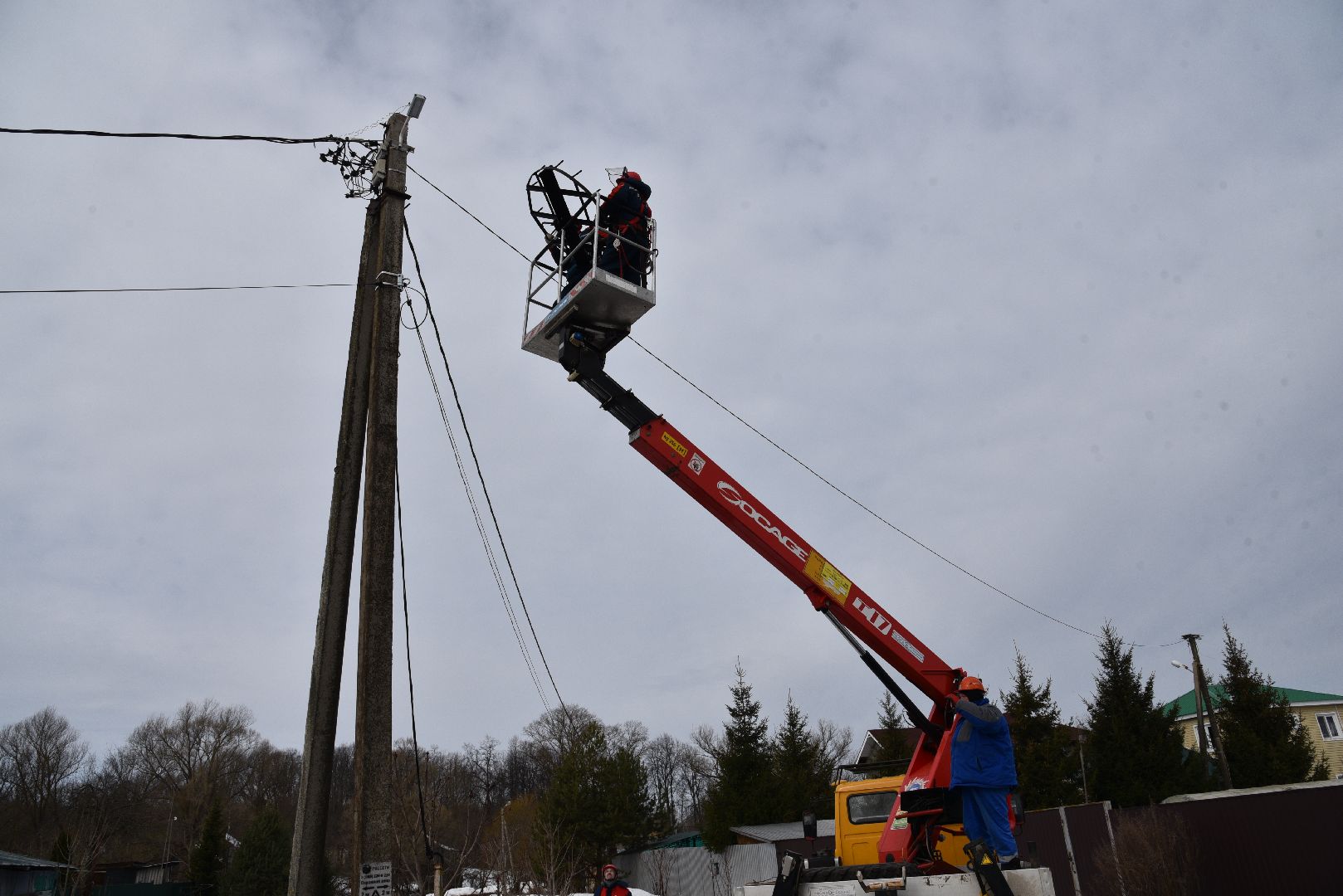 лотошино, россети московский регион», аисты, экология,