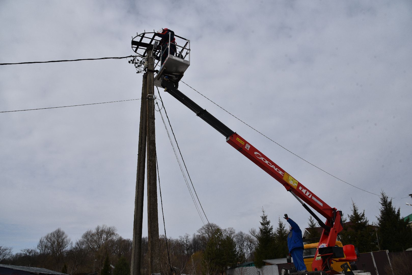 лотошино, россети московский регион», аисты, экология,