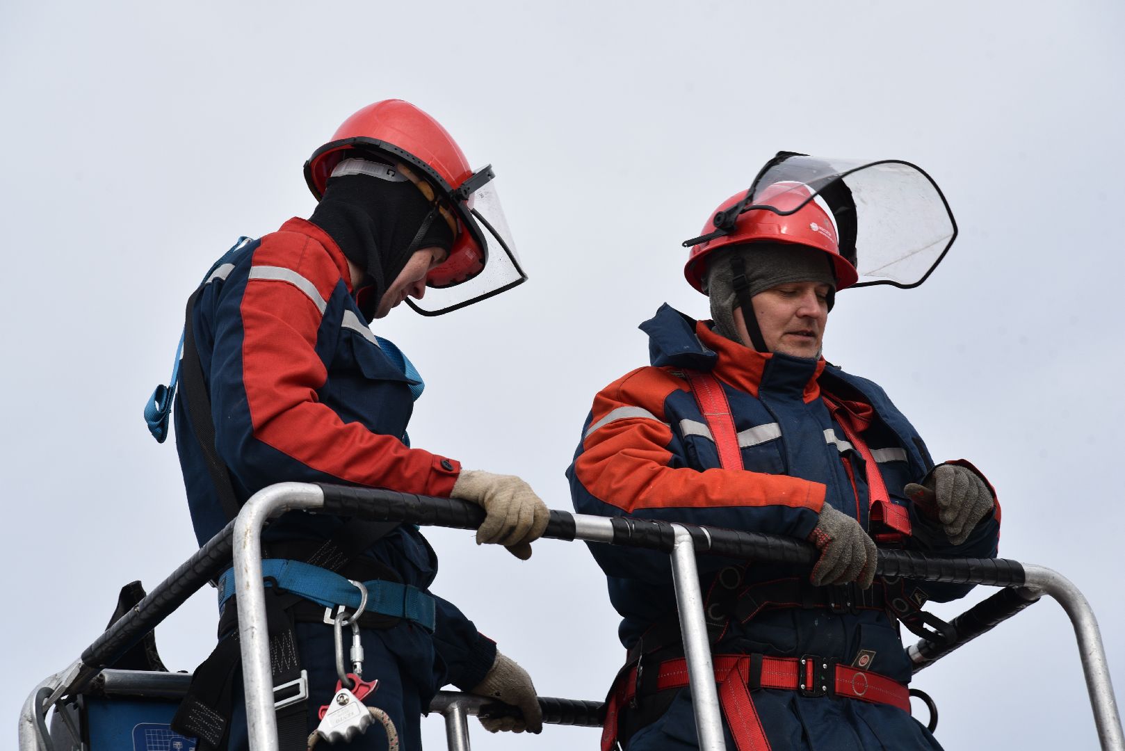 лотошино, россети московский регион», аисты, экология,