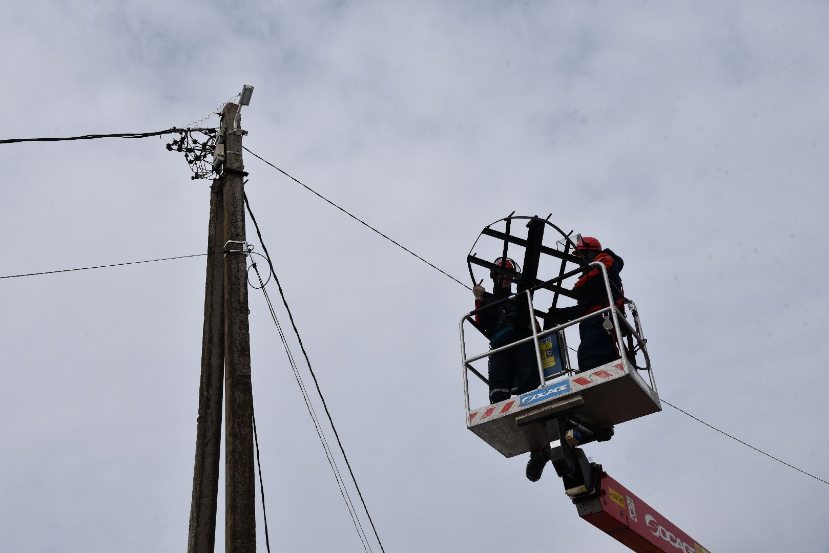 лотошино, россети московский регион», аисты, экология,