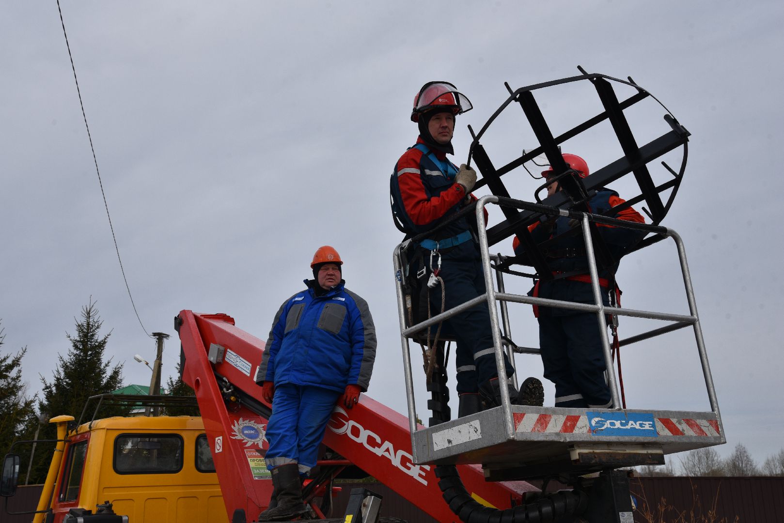 лотошино, россети московский регион», аисты, экология,