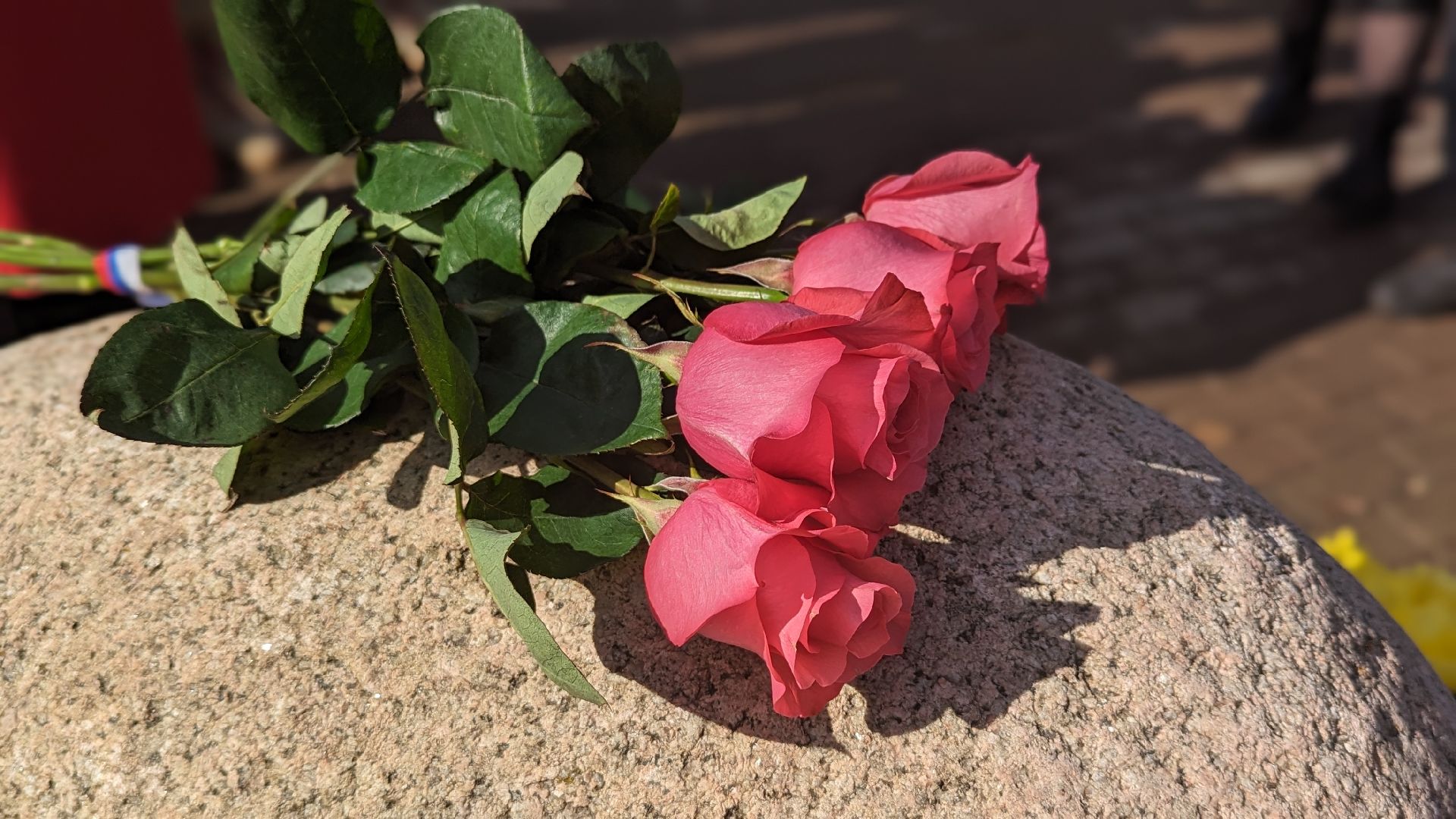 сво, митинг, акция памяти, красногорск,