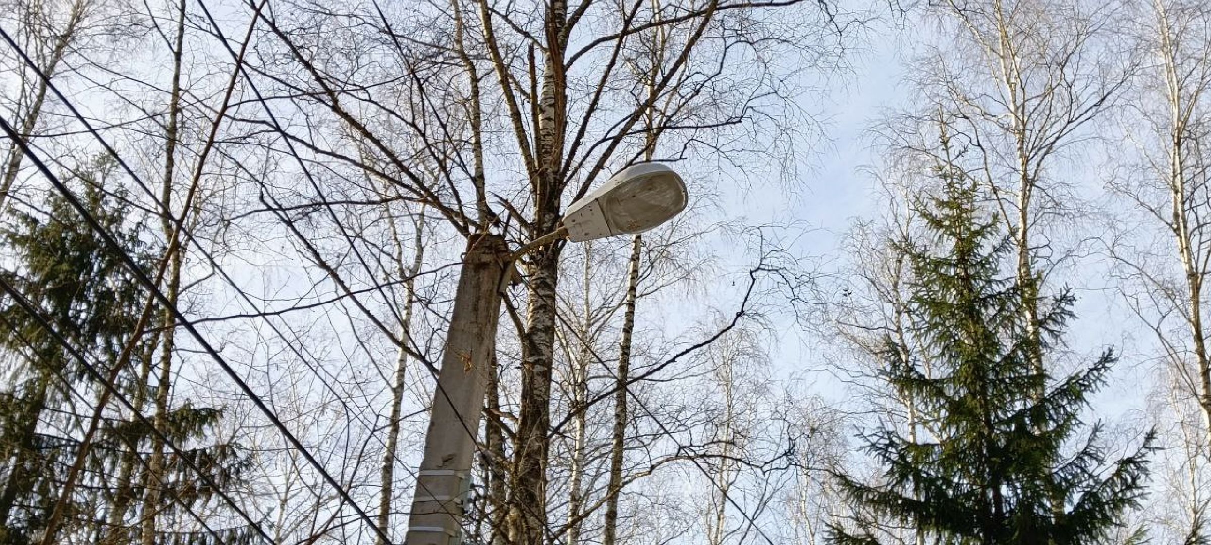 Дмитров, Благоустройство, Минблаго,