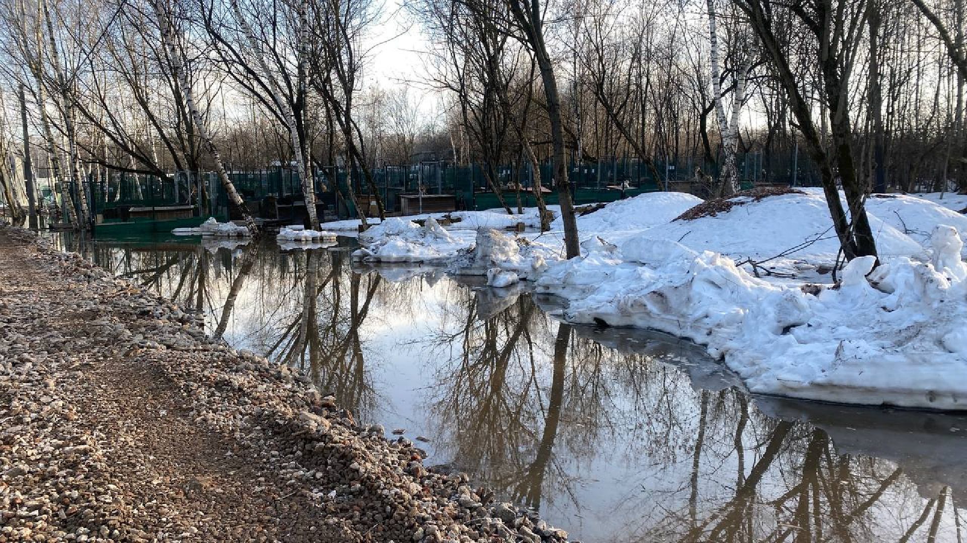 приют для животных, ленинский городской округ, собаки, потоп, чп подмосковье,
