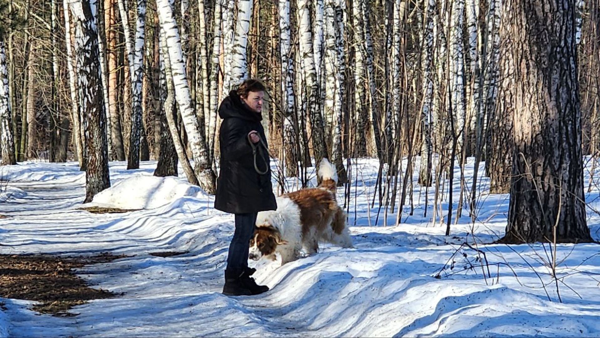 Реконструкция парка, Летний парк в Малаховке, объект культурного наследия, люберцы,