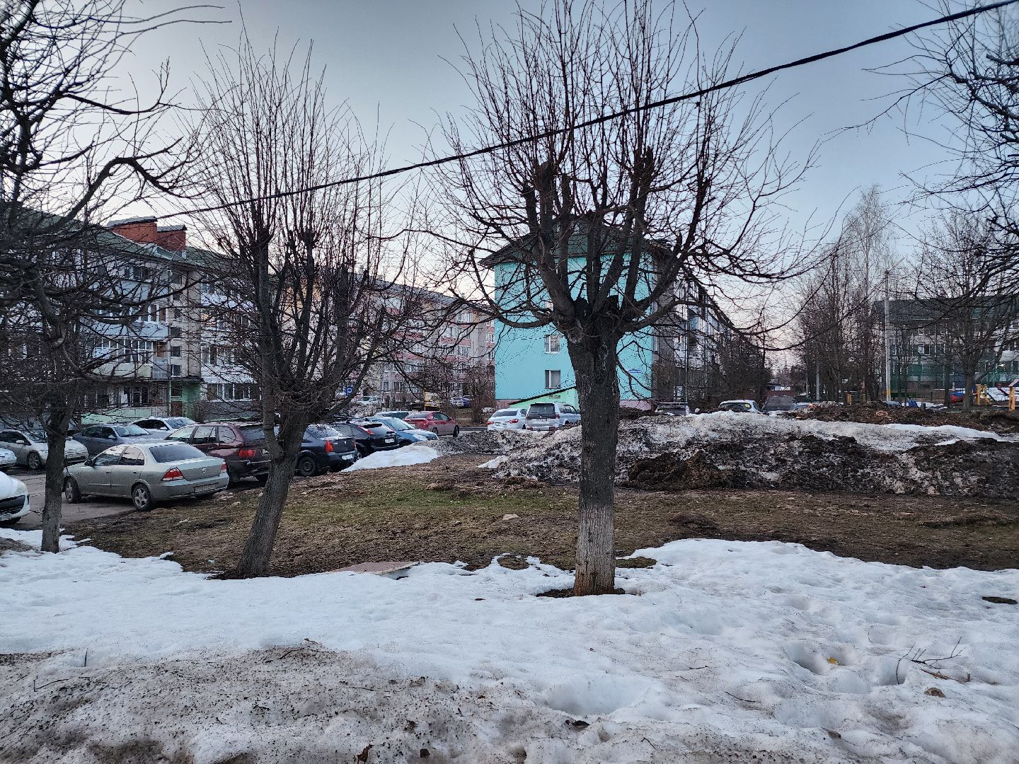 выездная администрация, собаки,