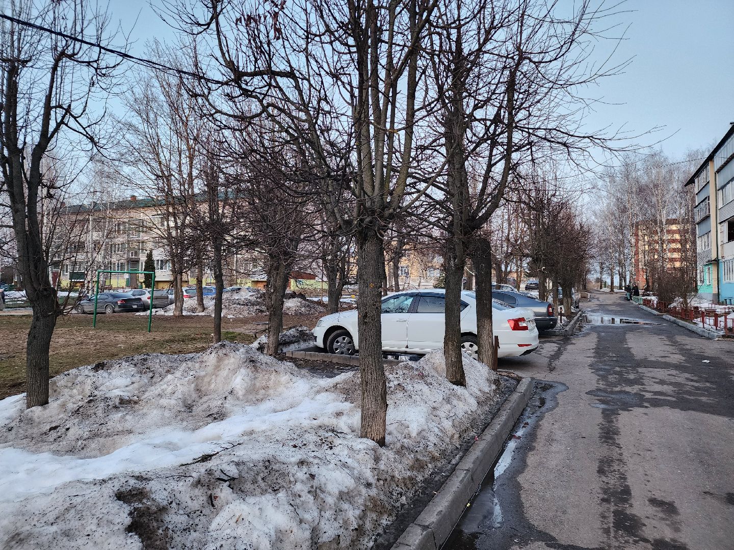 выездная администрация, собаки,