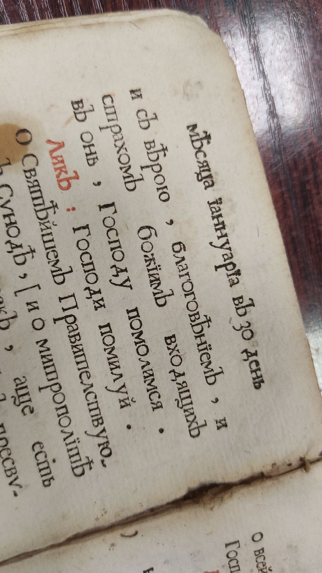 Лобня, культура, книги, ПетрI